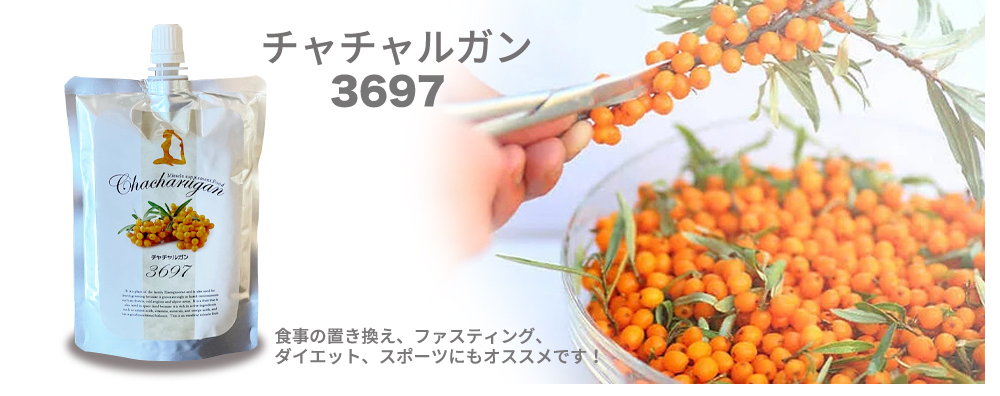 チャチャルガン